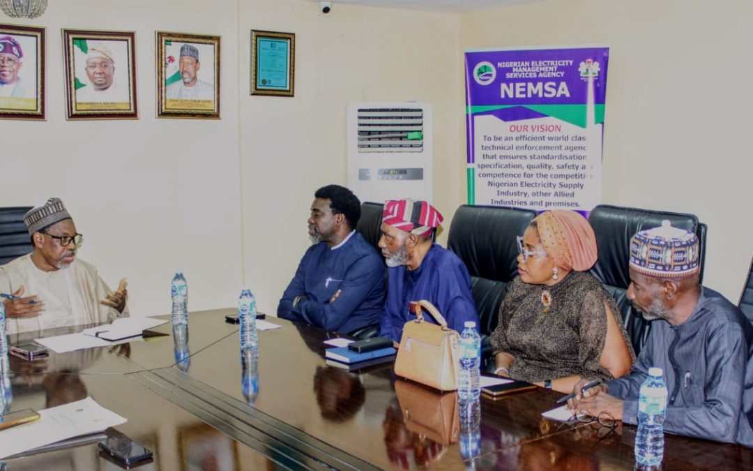 REAN Visits NEMSA, Strengthen Collaboration on Renewable Energy Standards and Safety