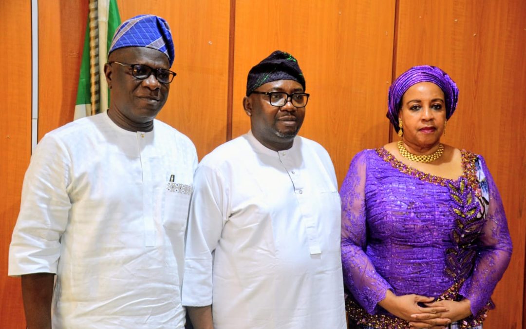 NEMSA, NIEEE Deepen Partnership on Electrical Safety, Standards